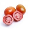 Hybrid tomato seed - Gamhar RZ F1