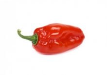 Red Habanero Pepper Seed - Afadja RZ F1