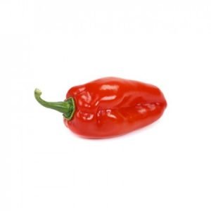 Red Habanero Pepper Seed - Afadja RZ F1