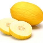 DUCRAL RZ F1 (34-154)