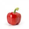 Sweet Red Bell Pepper Seed - Inspiration RZ F1