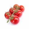 Cherry Tomato Seed - Moscatel RZ F1