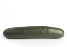 MYDAS RZ F1 - Hybrid Cucumber Seed (1,000 Seeds)