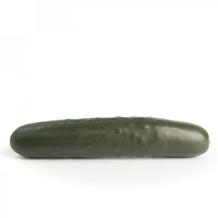 MYDAS RZ F1 - Hybrid Cucumber Seed (1,000 Seeds)
