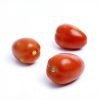 Indeterminate Plum Tomato Seed - Uwezo RZ F1