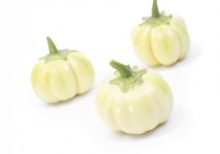 African eggplant - bitter