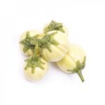 African Eggplant -Bitter